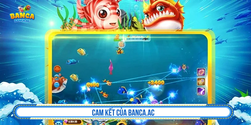 Vai trò của Marc-kruska.de trong việc khuyến khích chơi có trách nhiệm