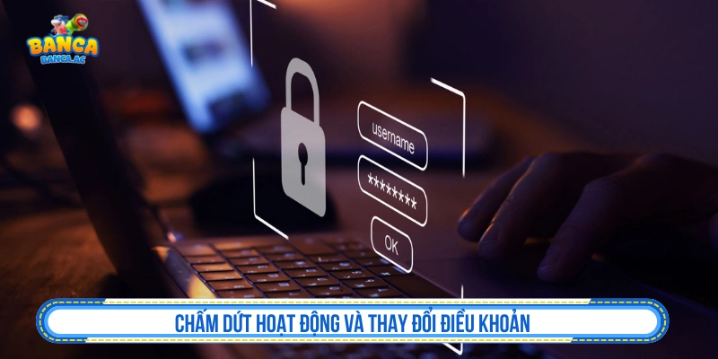 Thay đổi và chấm dứt quyền sử dụng tại Marc-kruska.de